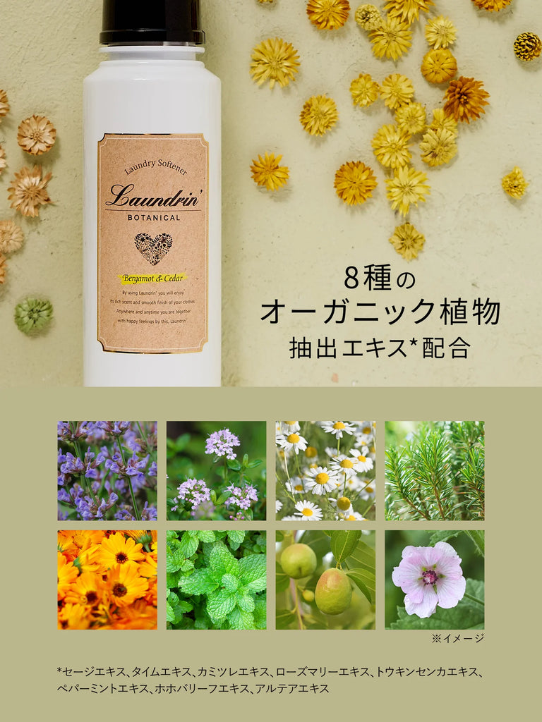 LAUNDRIN Botanical Fabric Softener Bergamot & Cedar 500ml