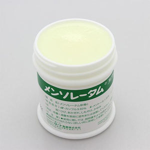 ROHTO Mentholatum  Ointment For Cracks, Chapped Skin, Chilblains, And Itching 75g
