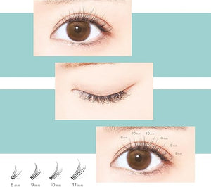 D-UP Quick Extension False Eyelashes #05 V Type Natural 120Pcs