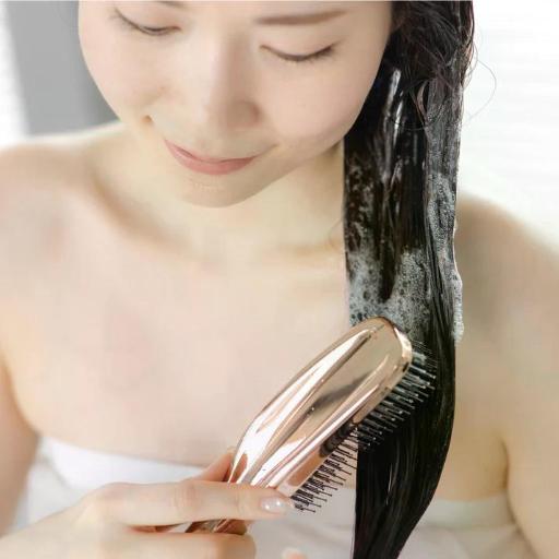 ARTISTIC&CO Dr.Scalp The Brashu Revo Scalp Brush