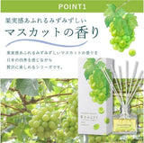 DAILY AROMA Grape Reed Diffuser 120ml