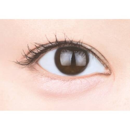 CANMAKE Plampuku Coordinate Eyes N01 Shiratama 1.3g