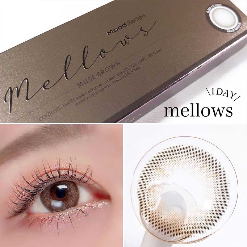 OLOLA 1 Day Contact Lens #Mellow Muse Brown 10pcs