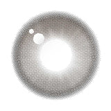 OLOLA 1 day Contact Lens #Daymood Gray 10pcs