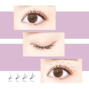 D-UP Quick Extension False Eyelashes #06 V Type Volume 120Pcs