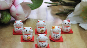 资生堂 Anessa 完美紫外线防晒喷雾 SPF50+ 60g