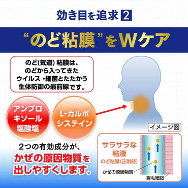 TAISHO Pabron Ace Pro-x Tablets 36 Tablets
