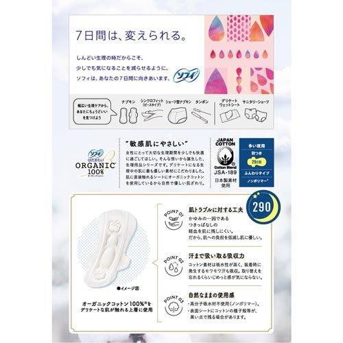 花王 LAURIER Slim Guard 带翅膀睡垫 35 厘米 13 片