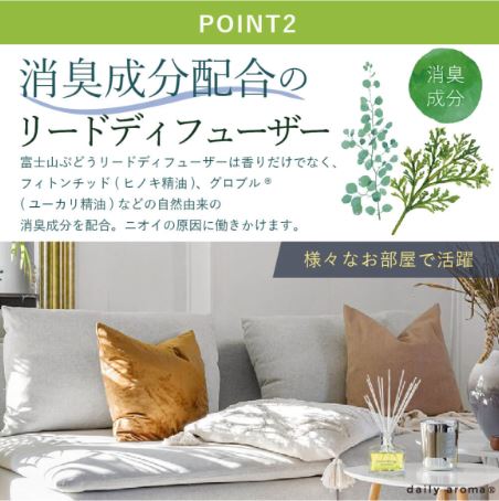 DAILY AROMA Grape Reed Diffuser 120ml