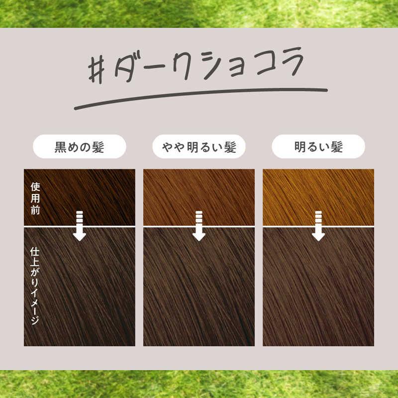 KAO Liese Prettia Foam Hair Dye # Dark Chocolate
