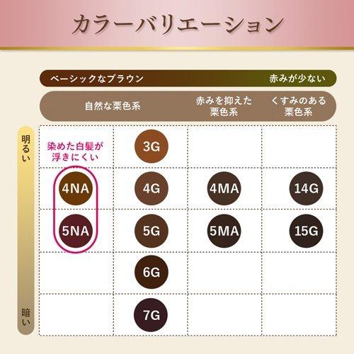 HOYU Bigen Grey Hair Dye 4NA Naturally Brown 40g+40g