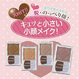 CANMAKE Mat Fleur Shading 02 深棕色