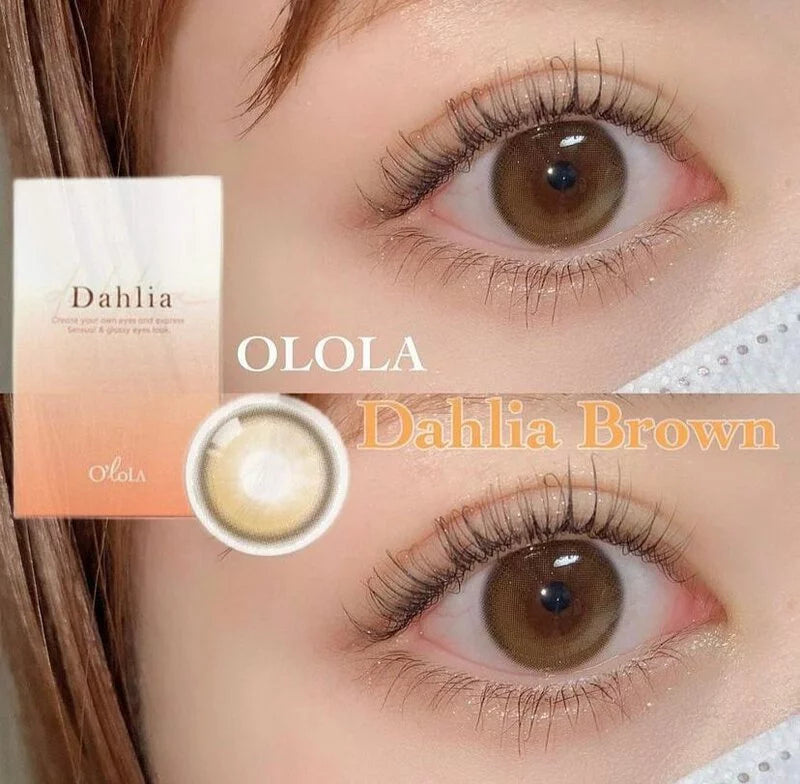 OLOLA 1 Month Contact Lenses #Dahlia Brown 1pc
