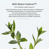 ABIB Sedum Hyaluron Pad Hydrating Touch 165ml