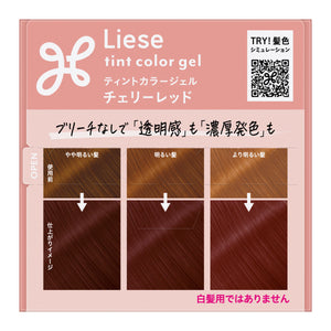 花王 Liese Prettia 泡沫染发剂烟灰灰