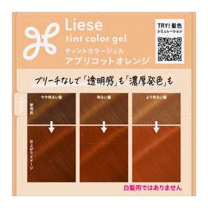 花王 Liese Prettia 泡沫染发剂烟灰灰
