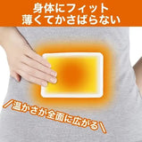 ST CORPORATION Onpax Haru Body Warmer Mini Size 10pcs