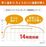 ST CORPORATION Onpax Haru Body Warmer Mini Size 10pcs