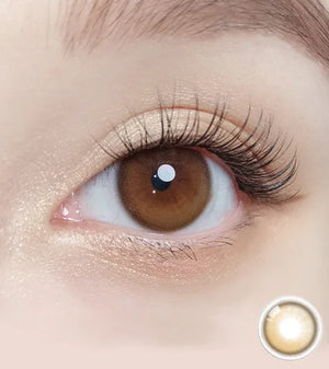 OLOLA 1 Month Contact Lenses #Dahlia Brown 1pc