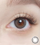 OLOLA 1 Month Dearsome #Ash Gray 1pc