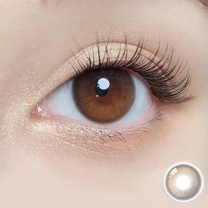 OLOLA 1 day Contact Lens #Daymood Brown 10pcs