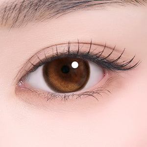 I-SHA 1 Day Contact Lenses #Oriana Edge Plus Shade Brown 10Pcs