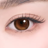 I-SHA 1 Day Contact Lenses #Oriana Edge Plus Shade Brown 10Pcs