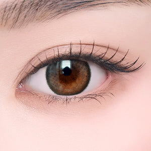I-SHA 1 Day Contact Lenses #Oriana Shade Gray 10Pcs