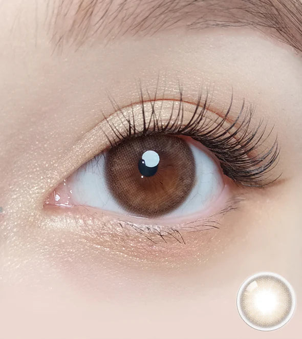 OLOLA 1 Day Contact Lens #Mellow Muse Brown 10pcs