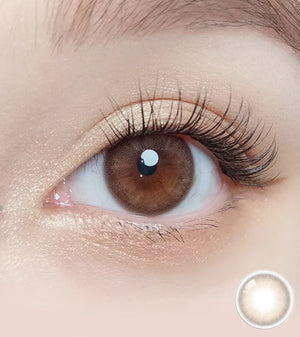 OLOLA 1 Day Contact Lens #Mellow Muse Brown 10pcs