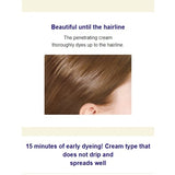 DARIYA Salon De Pro Hair Dye For Gray Hair #4K  Light Brown with Chestnut Color 40g