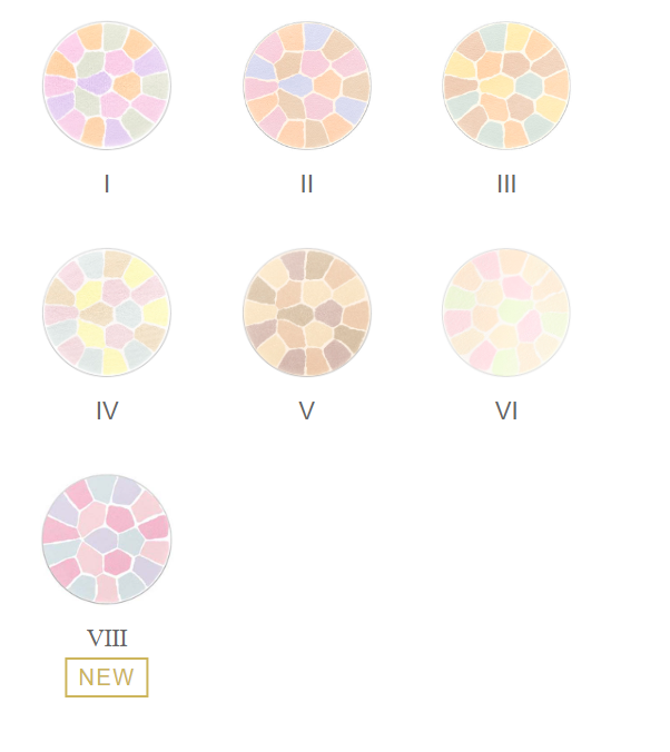 ALBION 奥尔滨 Elegance Nuance Face Powerder IV(4) 透明家庭装 27g