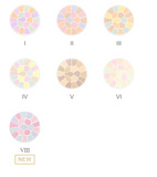 ALBION 奥尔滨 Elegance Nuance Face Powerder IV(4) 透明家庭装 27g