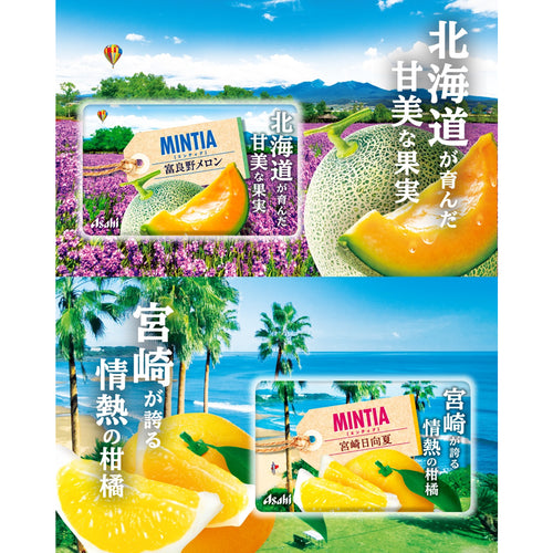 ASAHI Mintia Miyazaki Hyuga Natsu 7g