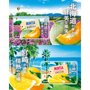 ASAHI Mintia Miyazaki Hyuga Natsu 7g