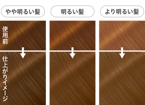 花王 Liese Prettia 泡沫染发剂烟灰灰