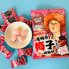 RIBON Super Sour Plum Candy 60g