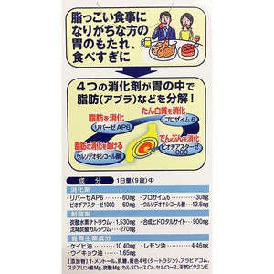 OHTA'S ISAN Herbal Medical Heartburn Stomach Pain 300 Tablets