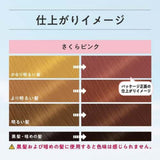 KAO LIESE Bleach-on Color Dye #sweet Pea Greige 108ml