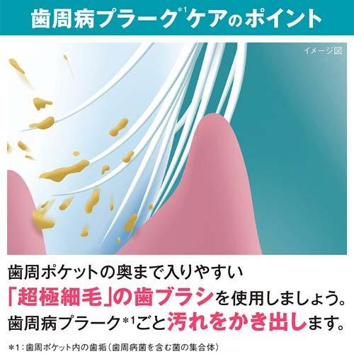 LION Dent Health 温和护理按摩牙刷软 1 件