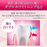 LION狮王礼仪牙膏 130g