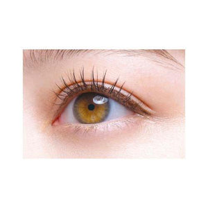 D-UP Lash On #02 Accent 2pairs