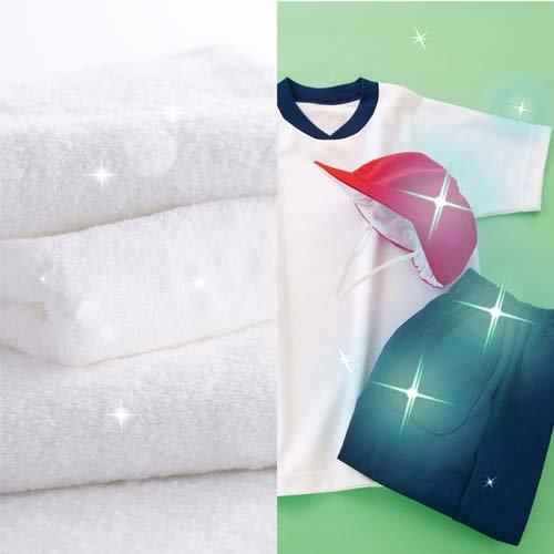 P&G Ariel Ultra Concentrated Triple Action Disinfectant Clothing Wash Room Dryinhg 700g