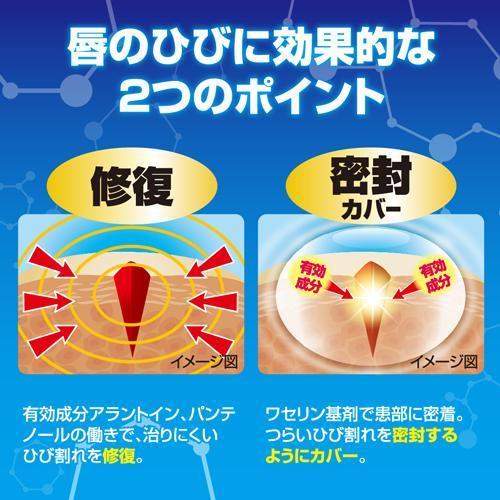 MENTHOLATUM  Hibipro Medical Lip Balm Cream 6g