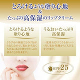 ROHTO Mentholatum Melty Cream Lip Milk Vanilla 2.4g