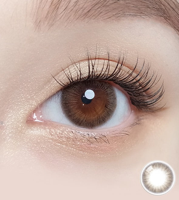 OLOLA 1 Month Swany #Pure Choco 1pc