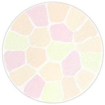 ALBION 奥尔滨 优雅 La Poudre Haute Nuance VI(6) 8.8g