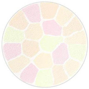 ALBION 奥尔滨 优雅 La Poudre Haute Nuance VI(6) 8.8g