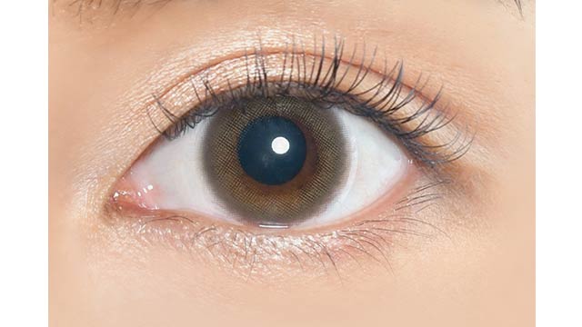 EROUGE 2 周隐形眼镜 #Urban Brun 6 片