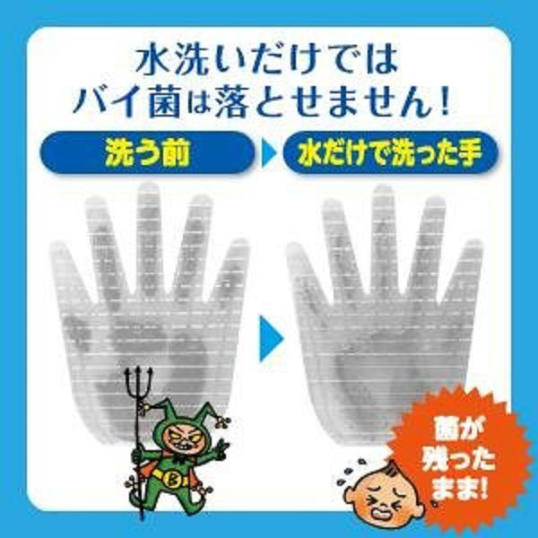 LION 狮王药用泡沫洗手液花香 250ml